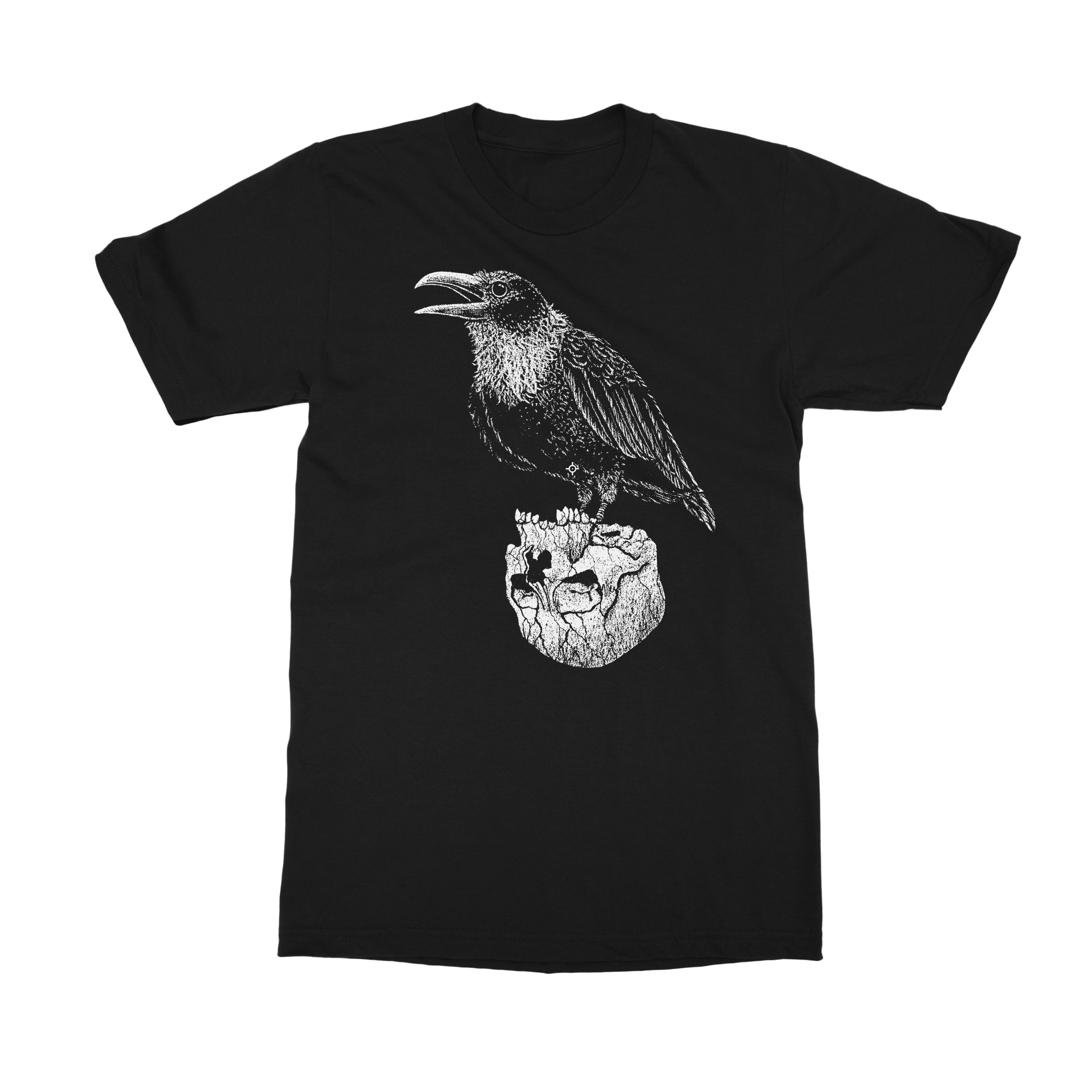 The Raven T-Shirt by Dylan Garrett Smith
